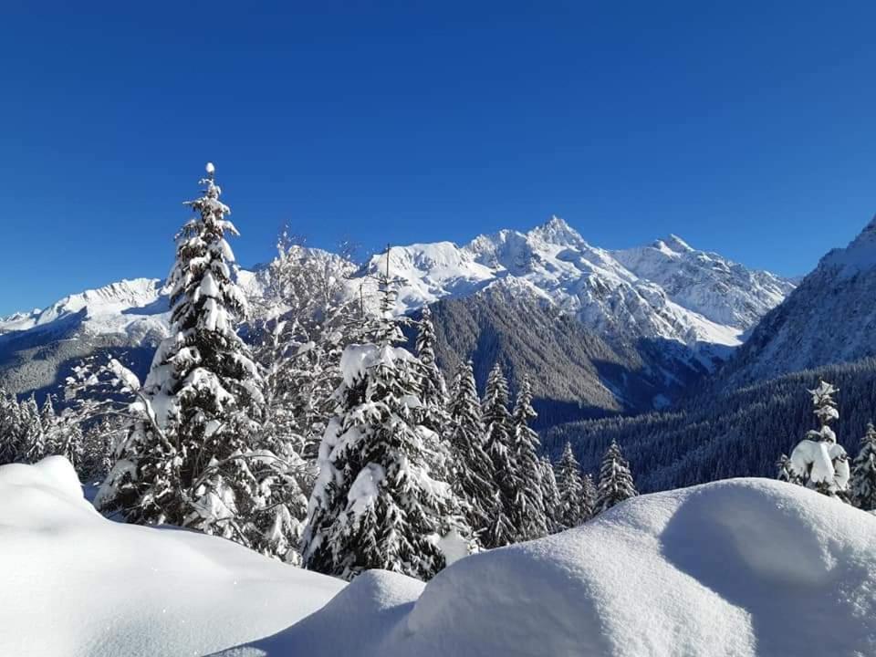 Superbe Studio Aux 7 Laux La Ferriere  Bagian luar foto