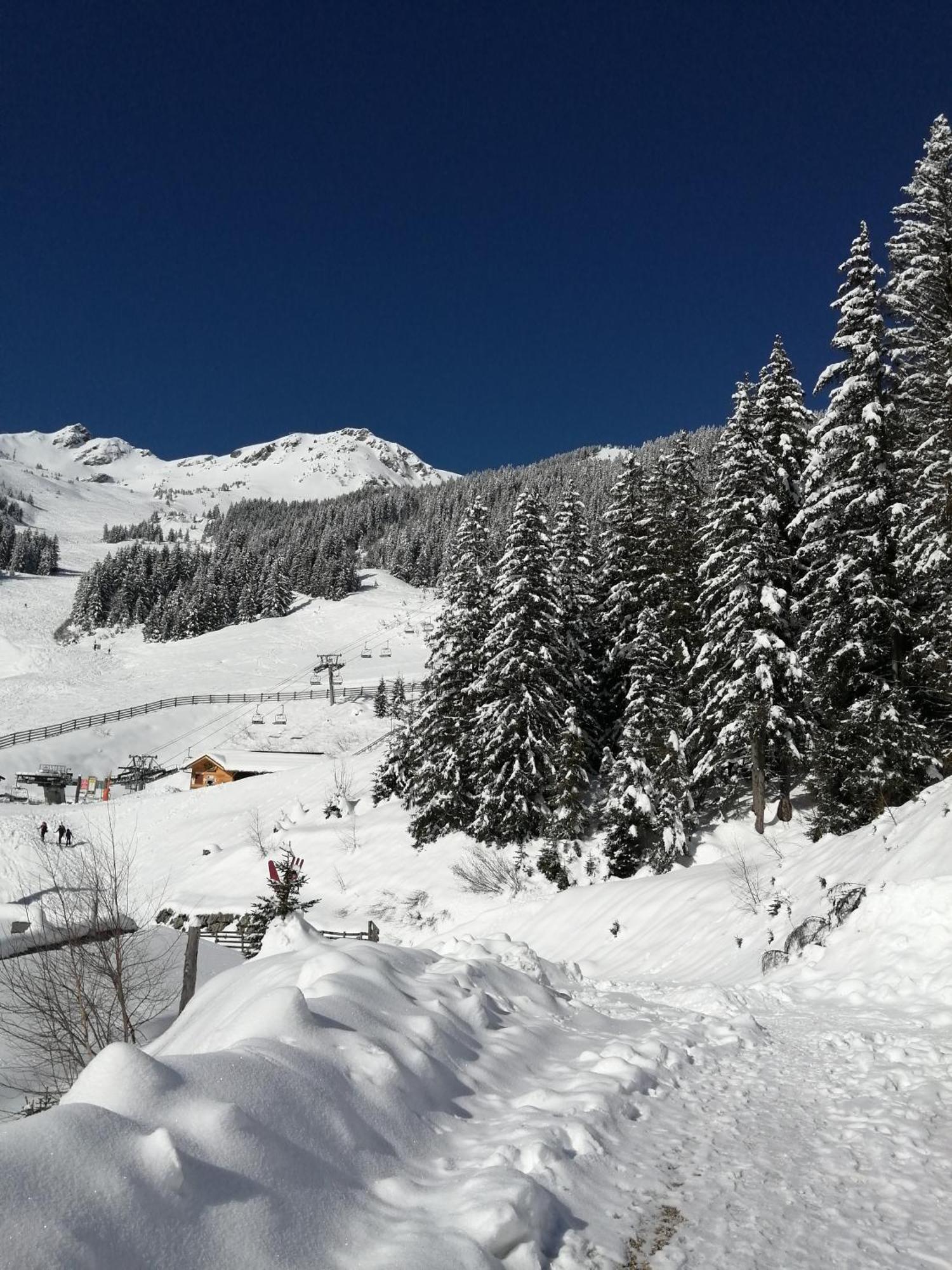 Superbe Studio Aux 7 Laux La Ferriere  Bagian luar foto