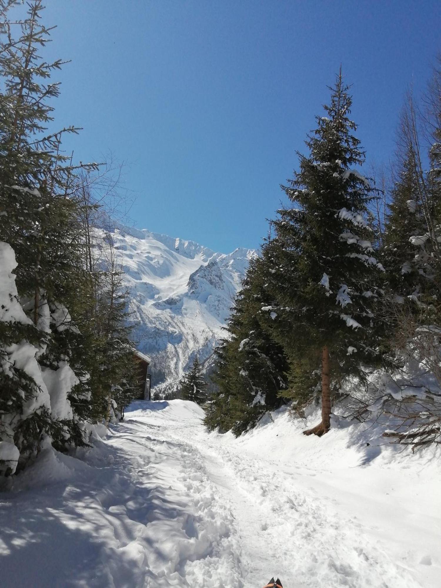 Superbe Studio Aux 7 Laux La Ferriere  Bagian luar foto